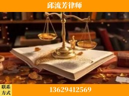 百色-委托诉讼代理人出庭