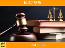 百色-刑事案件